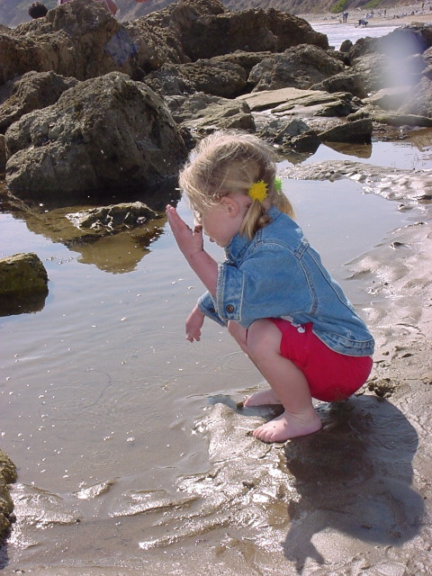Chlo&eacute; tide pools 3